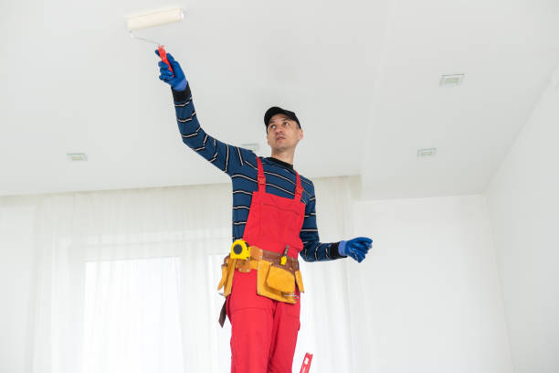 Best Water-Damaged Drywall Repair  in Lakewood, IL